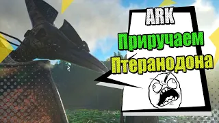 Приручил птеранодона - ARK  Survival Evolved #3