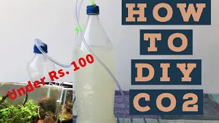 How To Make DIY CO2 For Planted Tank Using Sugar & Yeast | DIY CO2 Under Rs 100 For Planted Aquarium