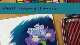 Colerful Iris Drawing in Pastel / Speedpaint