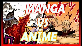 ONE PİECE MANGA & ANİME ARASINDAKİ FARKLAR!