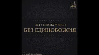 Исмаиль Абу Мухаммад - "Нет смысла жизни без Единобожия"