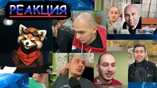 Россия23 (20,21,22,23,24) | реакция Red Panda | @vesti_rossia23