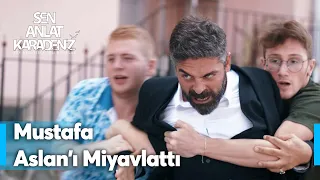 Kükreyen Aslan, Mustafa'nın karşısında miyavladı | Sen Anlat Karadeniz 58. Bölüm