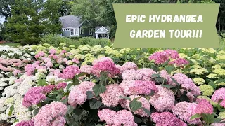 Epic Hydrangea Garden Tour | Here She Grows