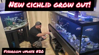 *NEW* AFRICAN CICHLID GROW OUT AQUARIUM! - (FISHROOM UPDATE #20)