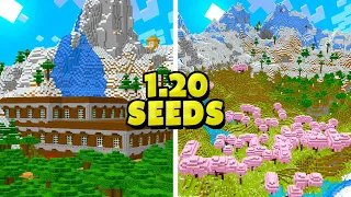 Top 5 AMAZING Minecraft Seeds 1.20! (Best Minecraft Trails & Tales Seeds Java & Bedrock)