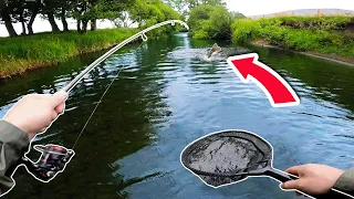 This HUGE fish should NOT be in this river!