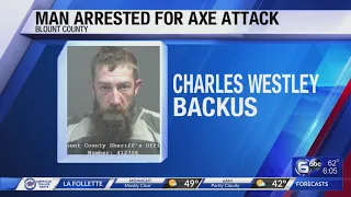 Man arrested for axe attack