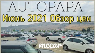 Авто из Грузии. Обзор цен Июль 2021 Автопапа, Autopapa. McCar.