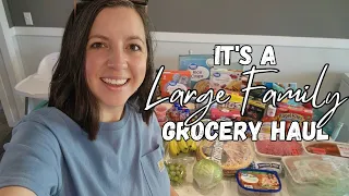 Large Family GROCERY HAUL | WALMART Haul | Meal Plan