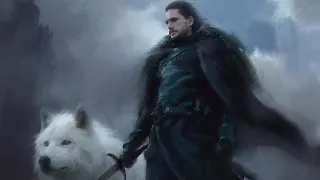Jon Snow || King in The North - A White Wolf ( GoT )