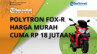 Motor Listrik Polytron Fox R Diluncurkan, Bisa Sewa Baterai, Harga Murah Cuma Rp 18 Jutaan