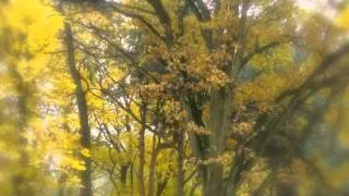 P.TCHAIKOWSKY OCTOBER AUTUMN SONG