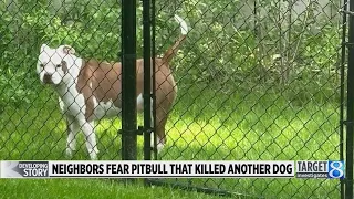 Neighbors fear pit bull that killed another dog