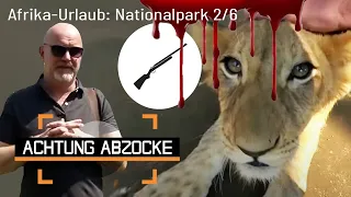 Blutiges Geschäft mit Löwenbabys! 🦁 Kaltblütig getötet! | 2/6 | Achtung Abzocke | Kabel Eins