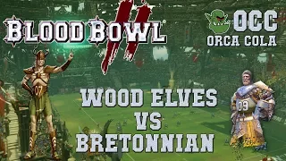 Blood Bowl 2 - Wood Elves (the Sage) vs Bretonnian - OCC championship S2 G6