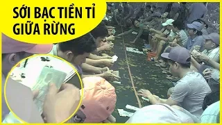 ĐIỀU TRA | Đại sới bạc giữa rừng - Kỳ 1: Lộ diện thế lực “khủng“