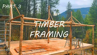 Building A Timber Framed Cabin - Part 3 - Off The Grid - Timber Framing