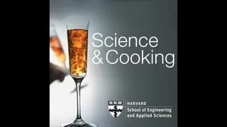 Food and Science | Lecture 2 (2012)