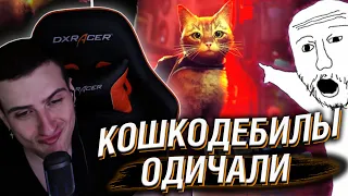 Hellyeahplay смотрит: КошкоДебилы одичали?