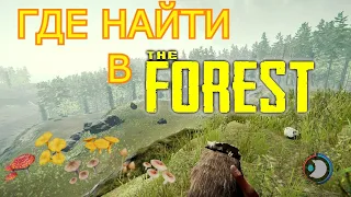 ГДЕ НАЙТИ В THE FOREST | ГРИБЫ