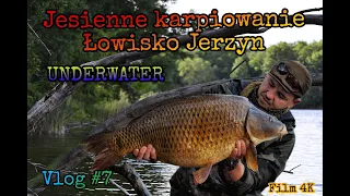 Łowisko JERZYN - Jesienne karpie - UNDERWATER -  Film 4K