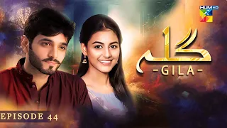 Gila Episode 44 [ Wahaj Ali - Anzela Abbasi ] Best Pakistani Serial - HUM TV