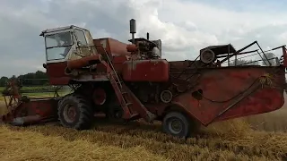 Нива СК5 старая дивижок зверь. Пшеница 60ц