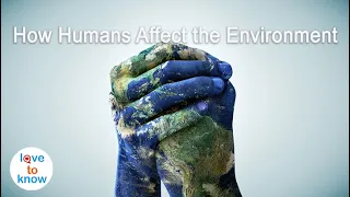 How Do Humans Affect The Environment