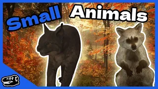 Small animal Montage #thehuntercallofthewild