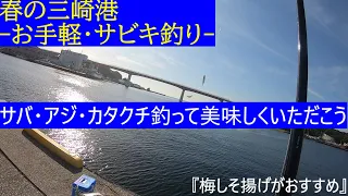 -お手軽 春のサビキ釣り 三崎港-