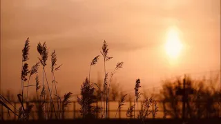 EN OORU MADHURA PAKKAM ...