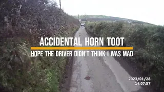 Accidental horn toot