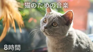 #112🐱 猫のための音楽｜🐱 留守番でも安心。猫が落ち着く。癒される音楽,　8時間　キャットセラピー　睡眠音楽　🐱 Music that helps cats sleep well