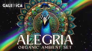 GALEXiCA - ALEGRiA * Organic Ambient Set (Ethnic Downtempo | Folktronica)