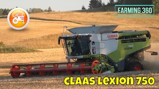 Harvest 2022 | Claas Lexion 750 combine & Convio 930 header