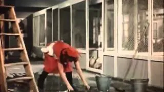 Стрекоза 1954 трейлер.flv