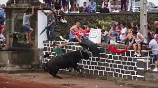 Ganadaria EG - Fonte Vila SB 2022 - Ilha Terceira - Açores - Portugal