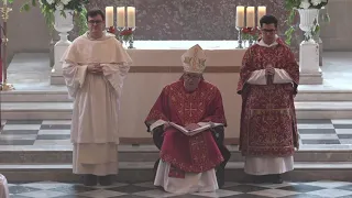 Homily of Archbishop Malcolm McMahon OP at the Diaconal Ordination of Br Albert Robertson OP.