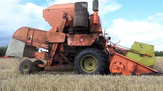 Dronningborg D900 harvesting Barley | Harvest Season 2023