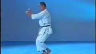 Shotokan Kata - Gankaku