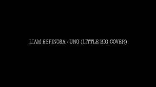 LIAM ESPINOSA - UNO (LITTLE BIG COVER)