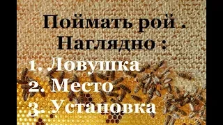 КАК ПОЙМАТЬ РОЙ ПЧЁЛ ? Ловушка , место , установка . | НАЕДИНЕ С ПРИРОДОЙ