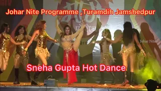 Sneha Gupta Hot Dance ||Jamshedpur,Turamdih Johar Nite 2017