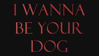 The Stooges - I Wanna Be Your Dog Lyrics