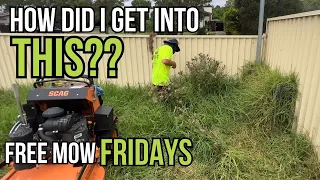 I bit off way more than I could chew here! Free Mow Fridays sponsored by Claratyne Australia!