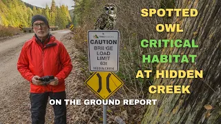 Spotted Owl Critical Habitat at Hidden Creek - On The Ground Report