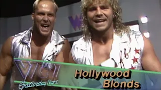 10 Best WCW Tag Teams Ever