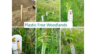 Plastic Free Woodlands