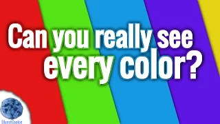 Are You Colorblind? (Color Test)